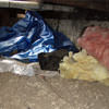 A crawl space filled with loose insulation, debris, and a large tarp in Davis.