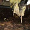 Fiberglass insulation dripping off a pipe in Mountain View.