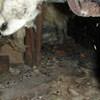 A dirt crawl space with water-soaked fiberglass insulation in Union City.