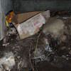 A rotting box sitting on a rock in a crawl space in Livermore.