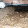 A muddy, disgusting crawl space with little or no head room in San Rafael.
