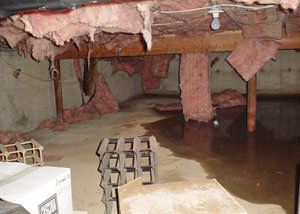 fiberglass insulation dripping off the ceiling of a crawl space in Oakland.