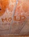 The word mold written with a finger on a moldy wood wall in Vallejo
